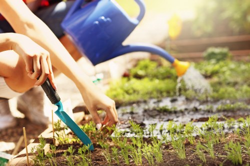 Gardener assessing a client's garden at the start of a complaint review