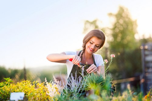 Gardening team starting work in a residential garden
