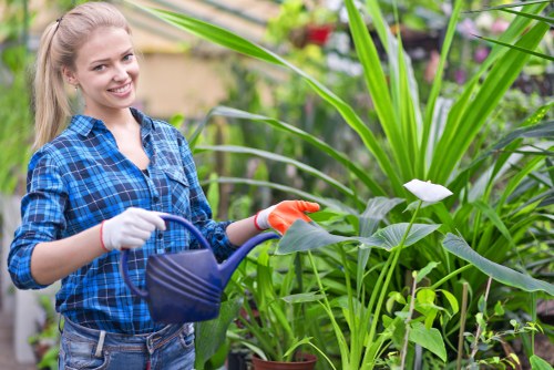 Person using a screen reader and taking notes while viewing garden service options.