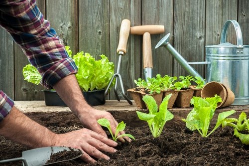 Accessible checklist and tools displayed next to a community garden scene in Kilburn.