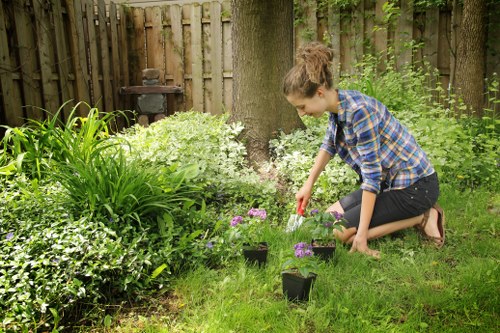 A young woman with brown hair tied back, wearing a blue and white checkered shirt and dark jeans, is kneeling on a well-maintained grassy lawn in a garden near a wooden fence. She is planting or tending to small flowering plants in black nursery pots, which are arranged on the grass. The garden features a variety of lush green shrubs, a large mature tree, and flowering plants with pink and white blooms. The background includes garden elements such as a small black compost bin and a weathered wooden garden ornament. The scene is set outdoors on a bright, overcast day, with natural light illuminating the vibrant greenery and the woman's focused activity, reflecting a typical suburban garden maintained by professional gardening services in Kilburn.